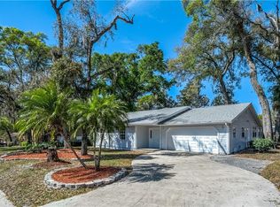 11505 River Country Dr, Riverview, FL 33569