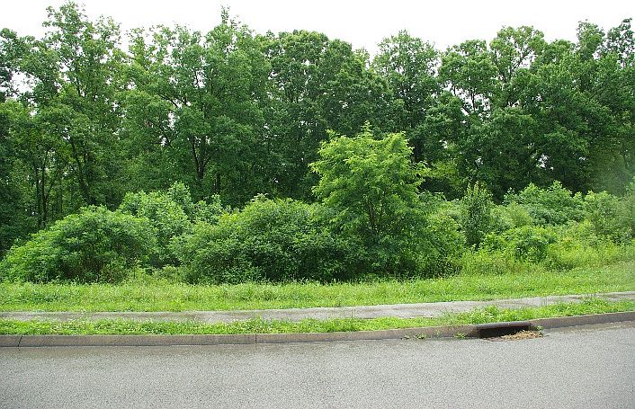1st image of 8356 Lake Village Cir