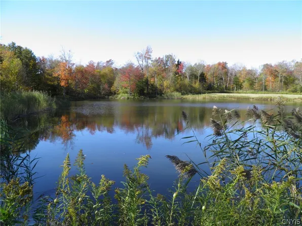 0 Gallo Trail Rd, West Leyden, NY 13489