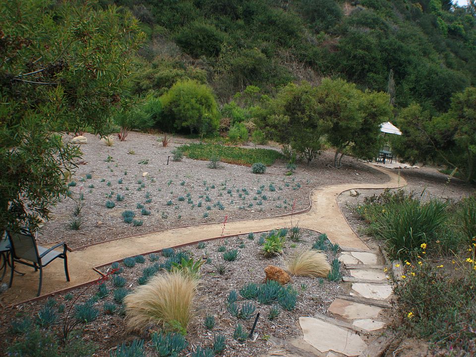 More backyard