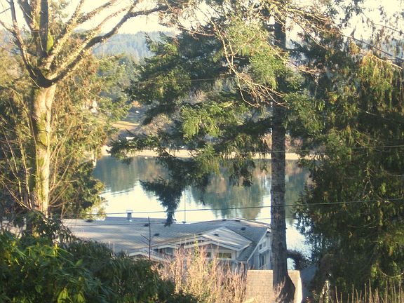 The View From Your Back Deck