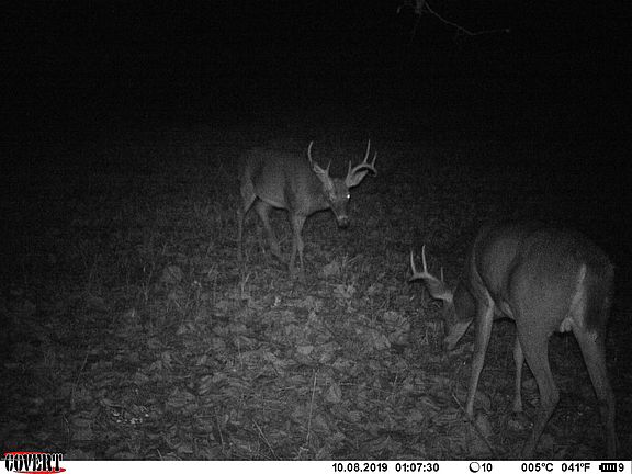 3rd image of 1336 Buffalo Creek Rd