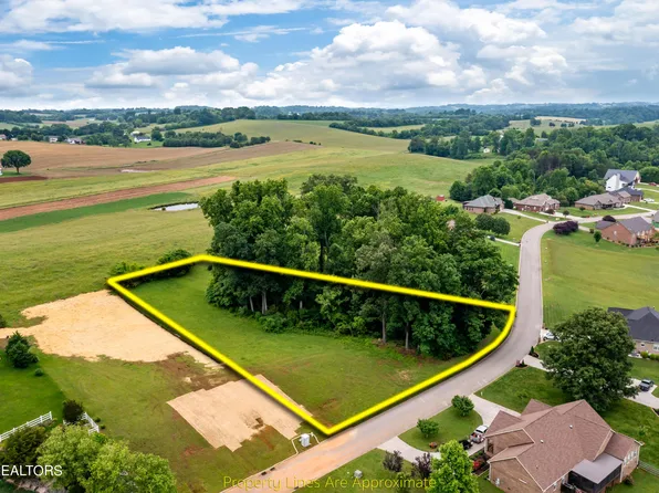 1157 Houston Springs Rd, Greenback, TN 37742