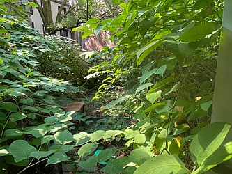 Rented by Plymouth Electric Inc.