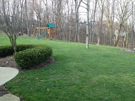 Play Ball!! Flat level backyard backs to trees!