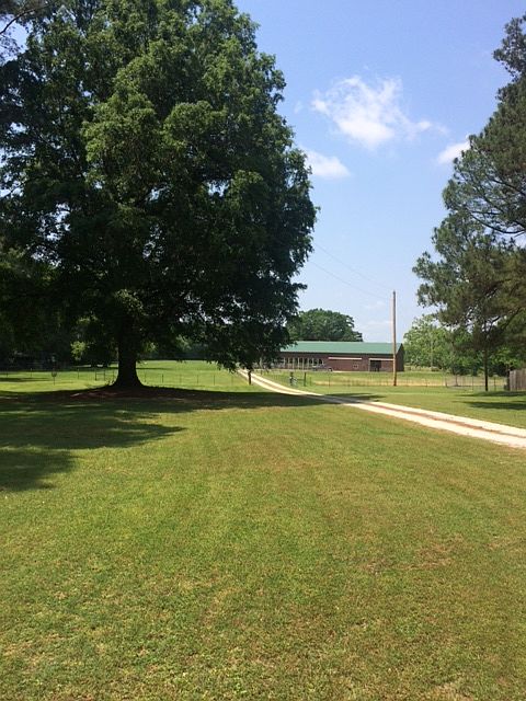 1st image of 1383 Elvis Presley Dr