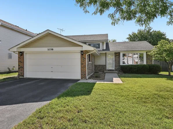 1036 E Meadow Lake Dr, Palatine, IL 60074