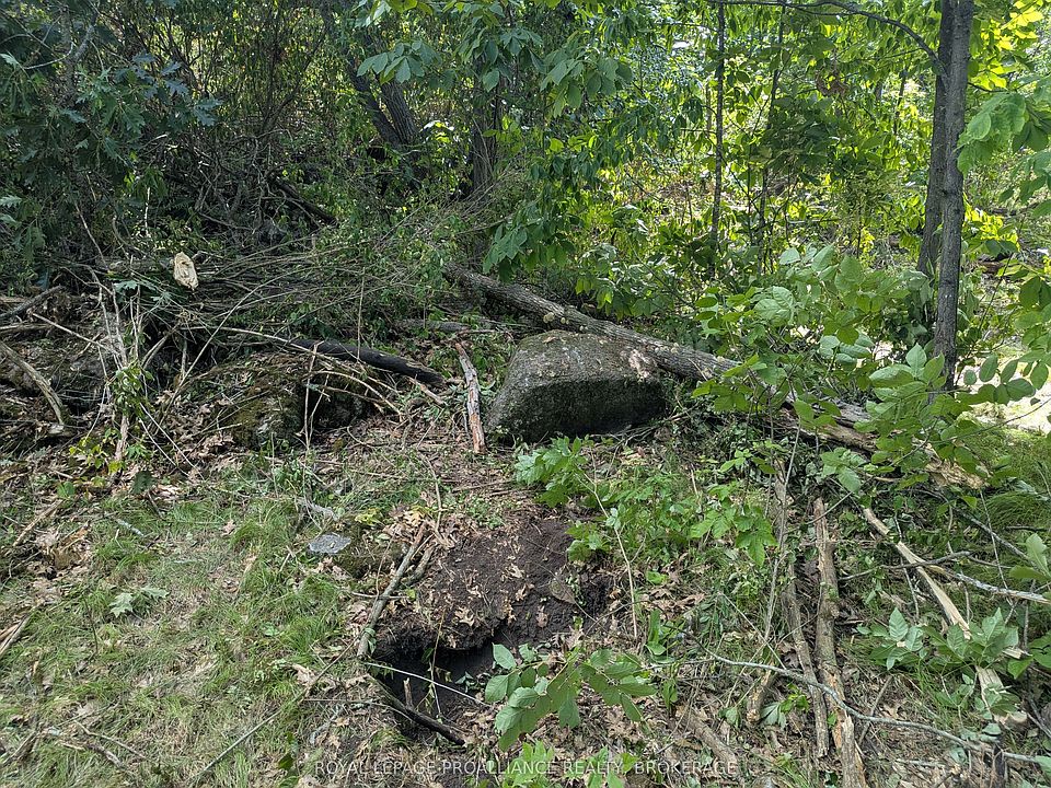 1st image of 2622 4th Concession Rd