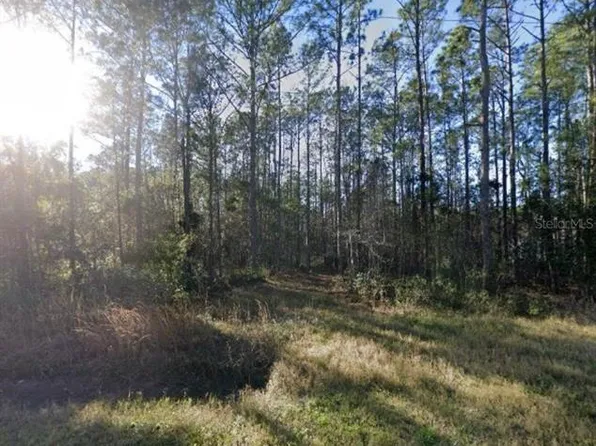 9930 Crotty Ave, Hastings, FL 32145
