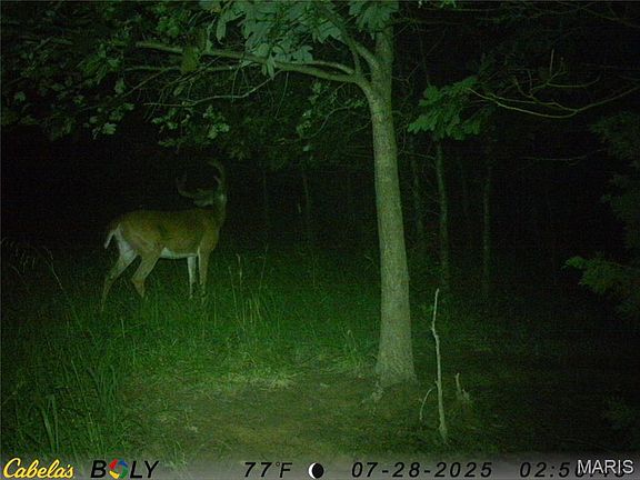 4th image of 9821 County Road 458