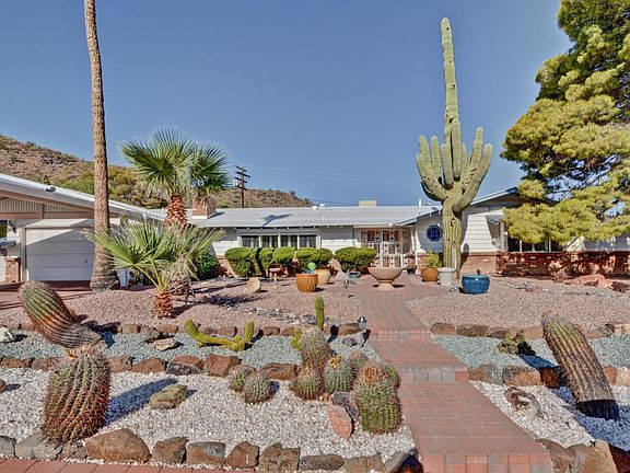 Desert Landscaping
