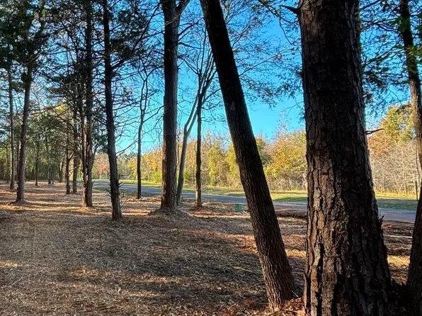 County Road 3860, Hawkins, TX 75765