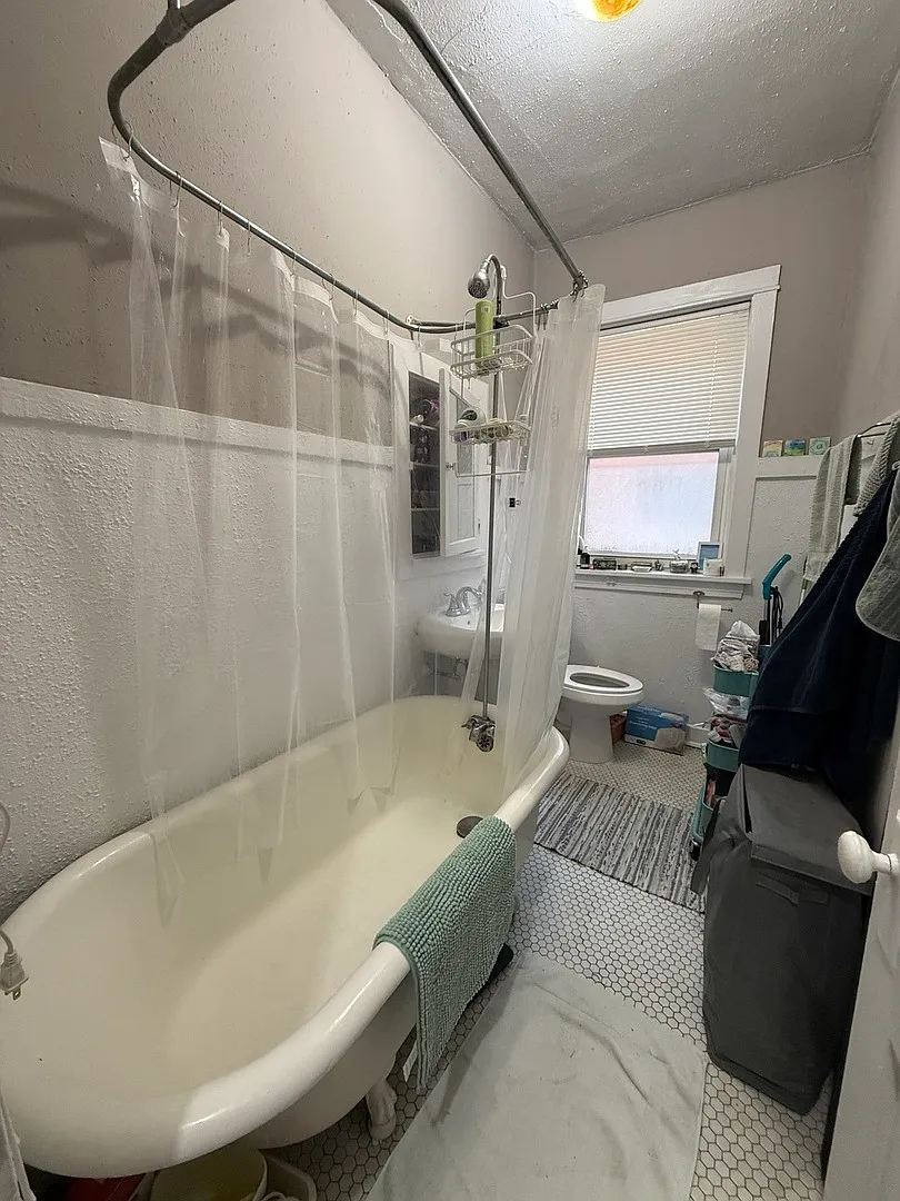Studio, 332 sqft, $1,795 — Photo 4