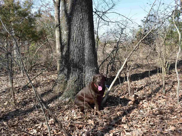 (undisclosed Address), State University, AR 72467