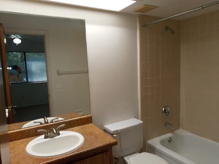 4410 Black Forest Way — Photo 12