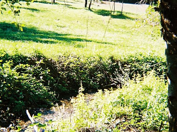 CREEK IN LATE SUMMER