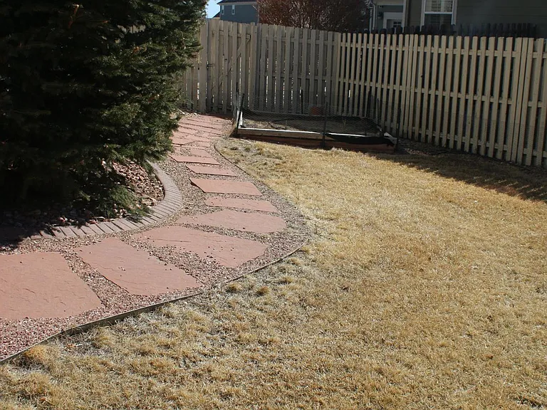 Backyard 5