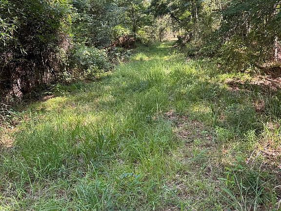 5th image of 0 Vine Hollow Rd