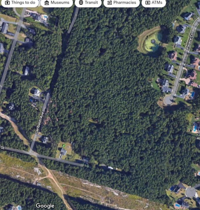 2nd image of 99 Garibaldi Ave