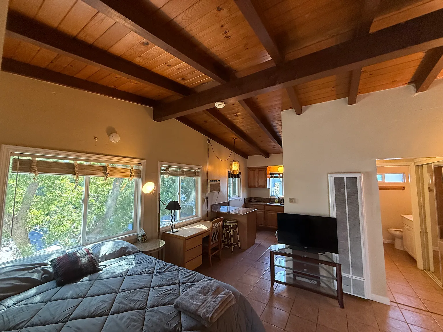 Studio, 460 sqft, $2,395 — Photo 4
