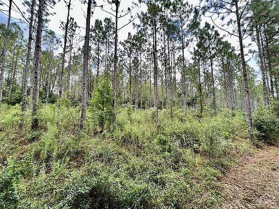 5th image of 235AC N County Road 61