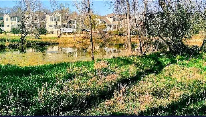 3145 Bell Dr — Photo 20