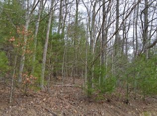 0 Little Mountain Rd #1, New Castle, VA 24127