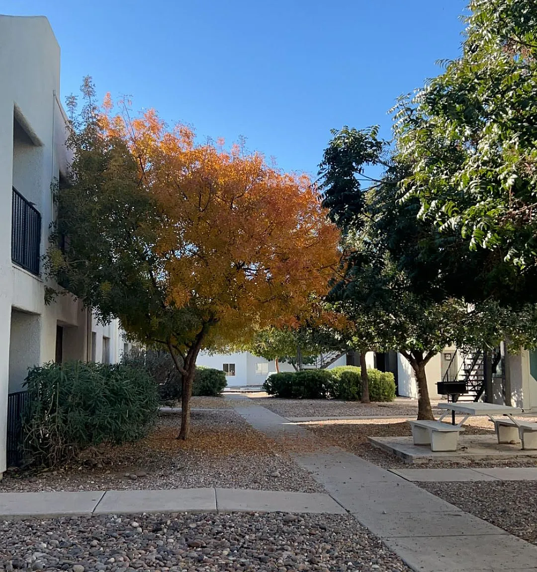 The Quails Apartments — Photo 2