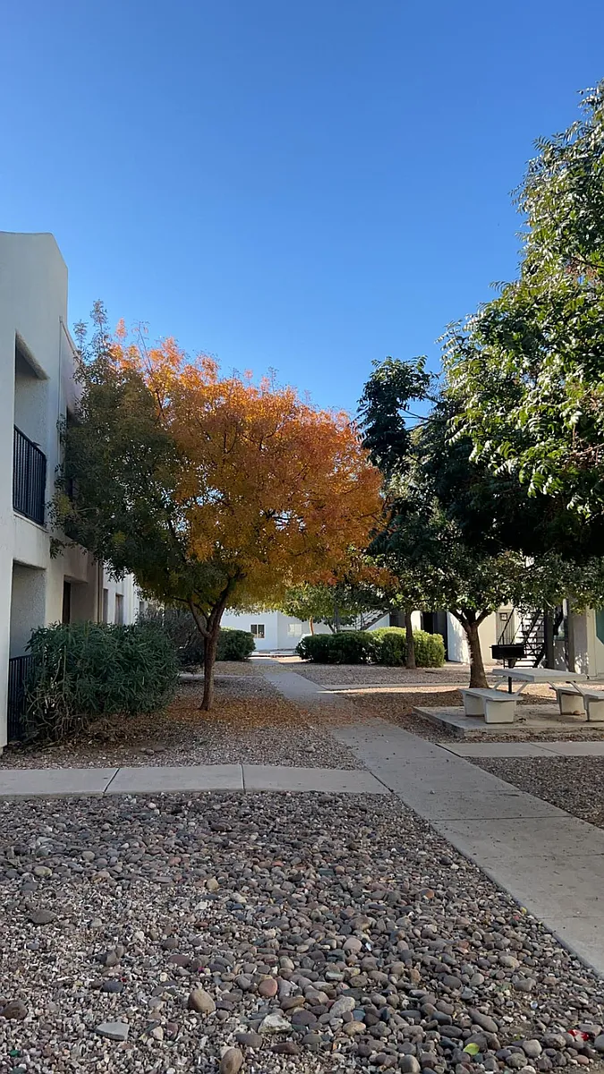 Building Photo - The Quails Apartments