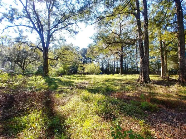 82176 Olive St, Folsom, LA 70437