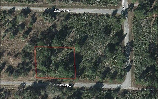 2nd image of 3441 Arbutus Rd