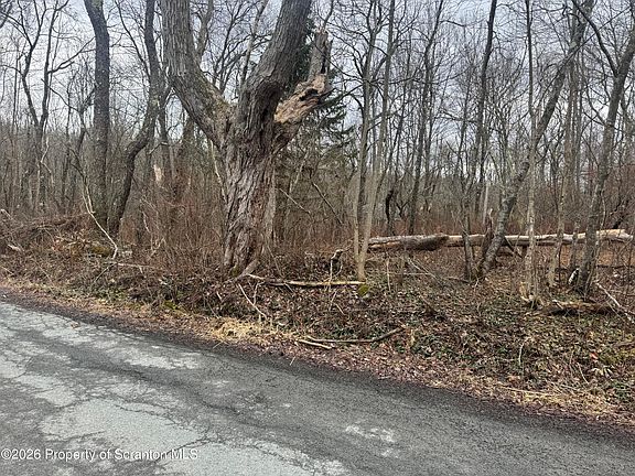 4th image of Freytown Rd