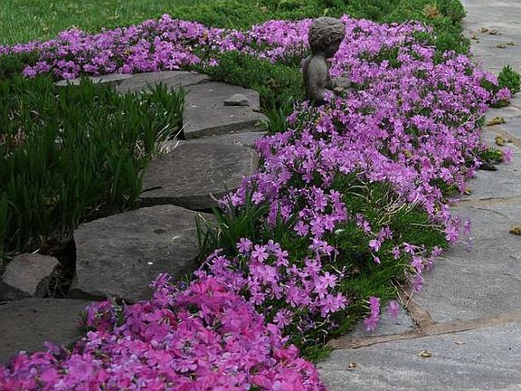 Front Path