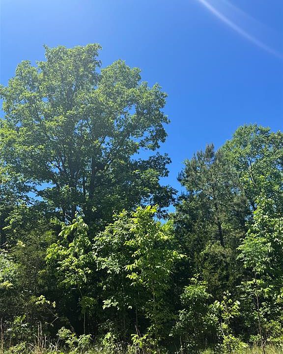 1st image of 60 Vista Ridge Trail