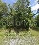 1st image of 245 N ROMERO STREET LOT 12