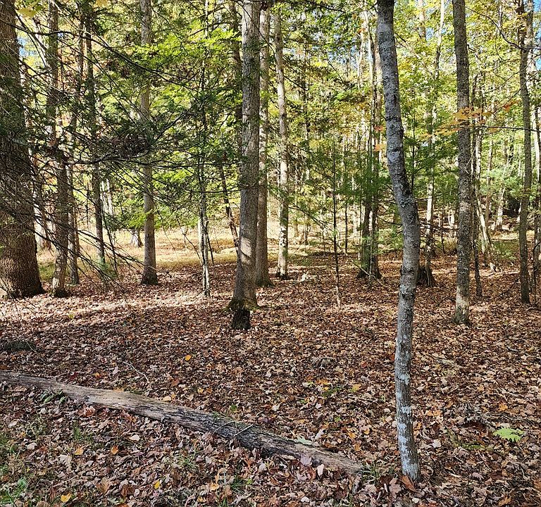 2nd image of 727 Edward Dr