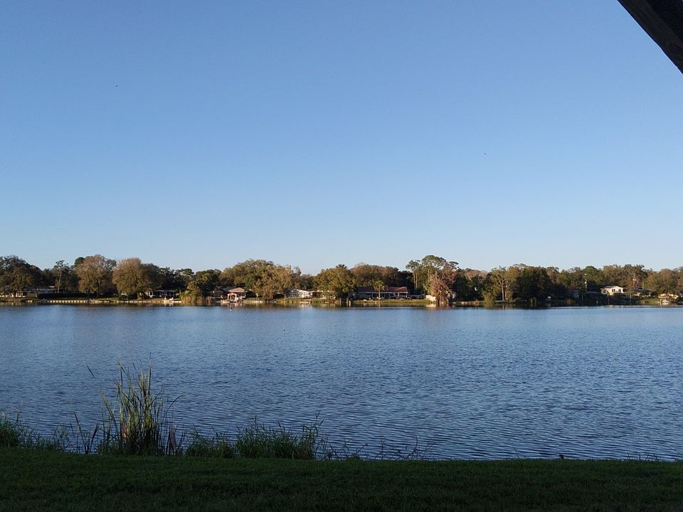 View from back patio