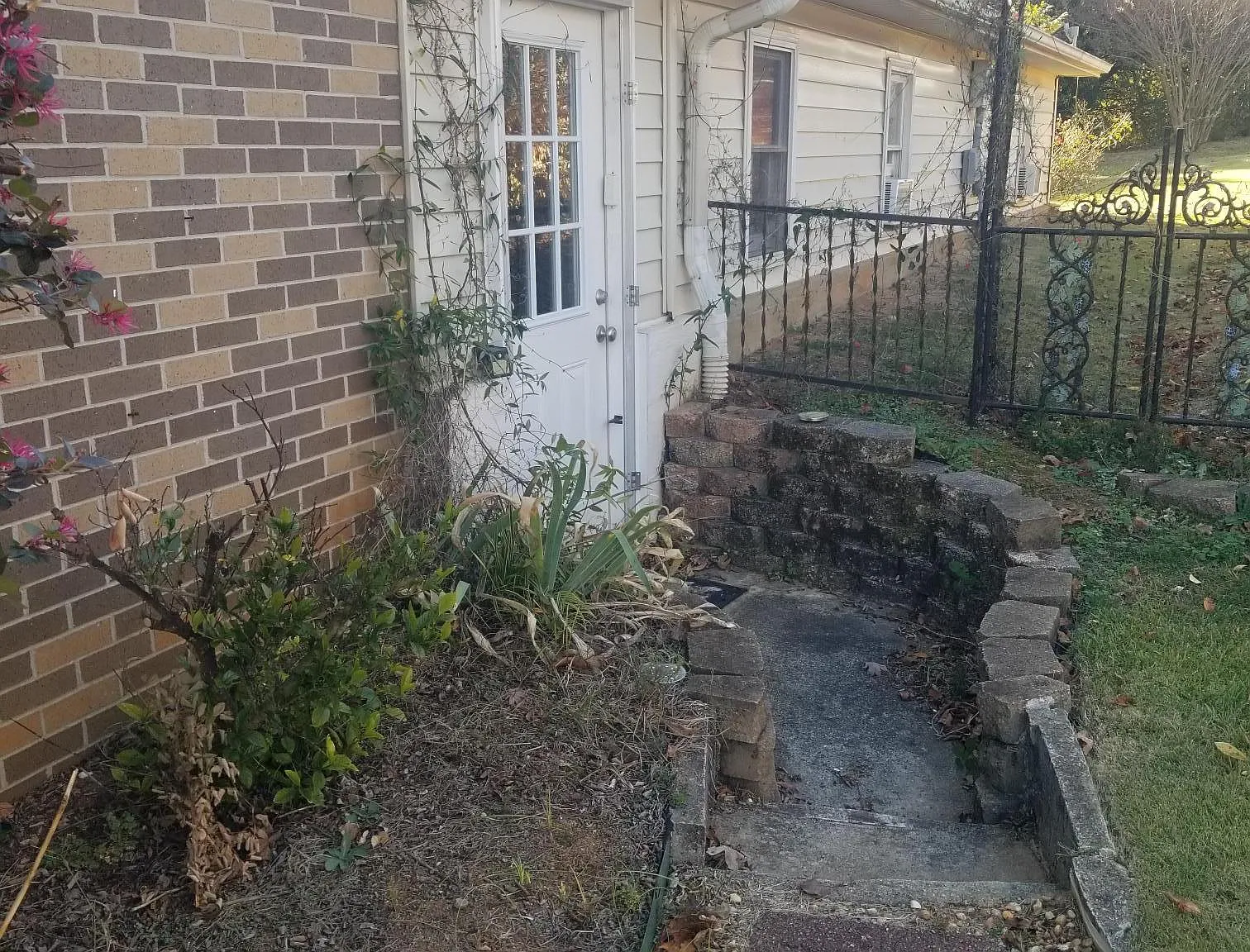1 bed, 525 sqft, $1,400 — Photo 2