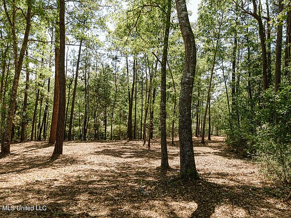 4th image of Honduras Dr Lot 14