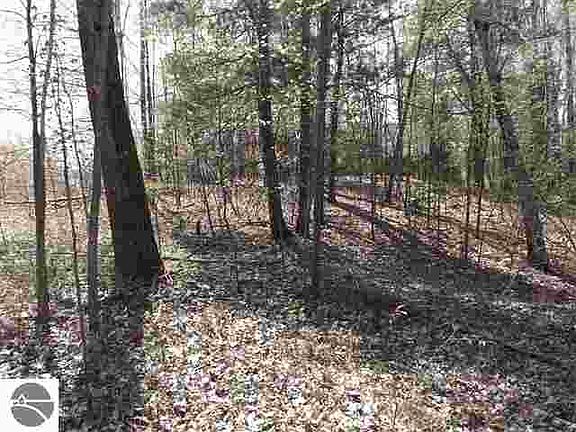 4th image of 0 Deerfield Ln