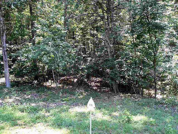 2nd image of 319 Chickasaw Dr