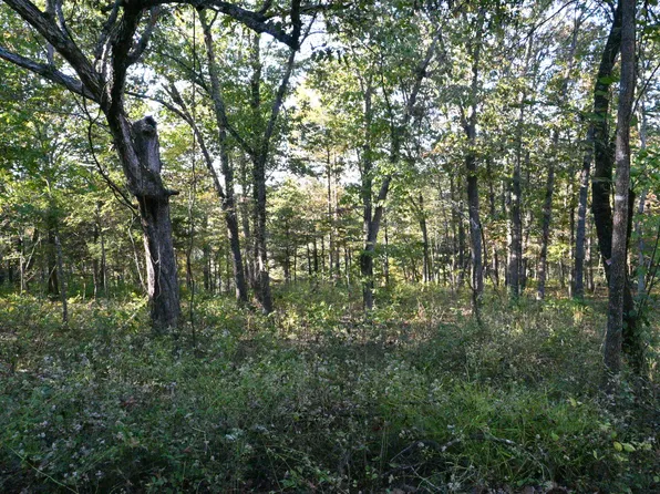 Lot 4 Turkey Mountain Estates 2nd, Shell Knob, MO 65747