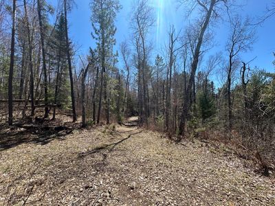80AC Off Razorback Rd, Conover, WI, 54519