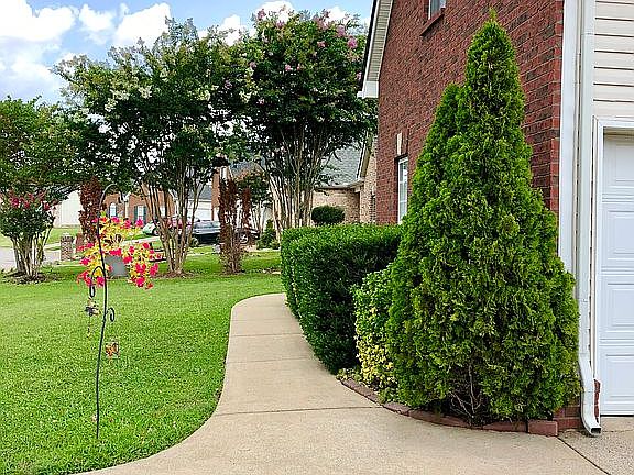 3rd image of 3358 Hamberton Cir