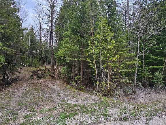 2nd image of 43 Hardwick Cove Rd