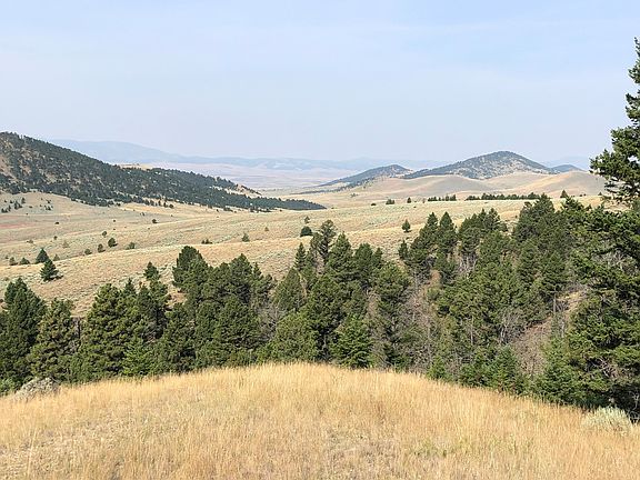 2nd image of Bluebird Ln