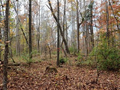 3 Collins Mountain Rd, Chapel Hill, NC, 27516