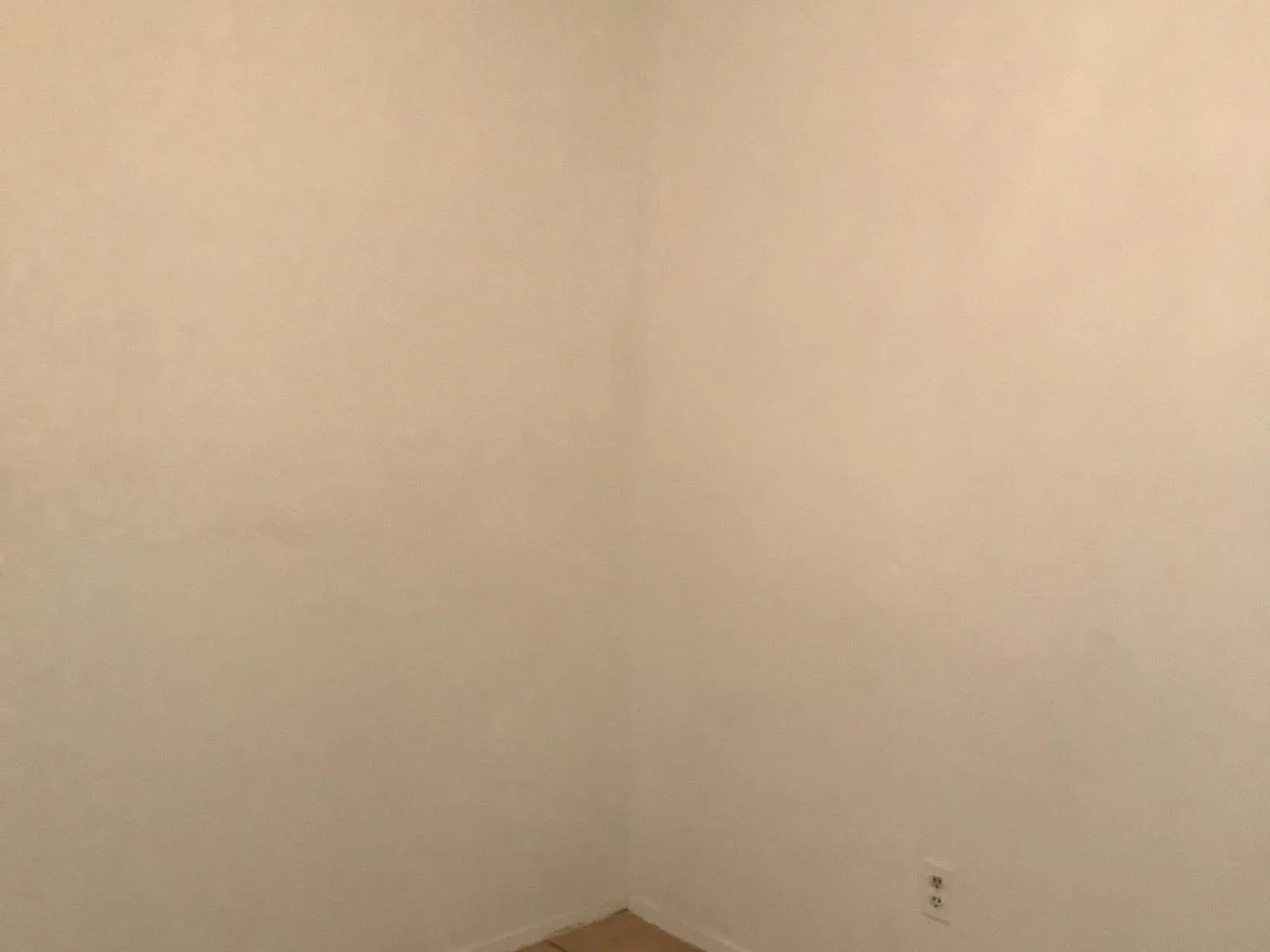 2 bed, 800 sqft, $1,200 — Photo 3