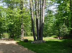 4th image of 1312 King Lake Dr