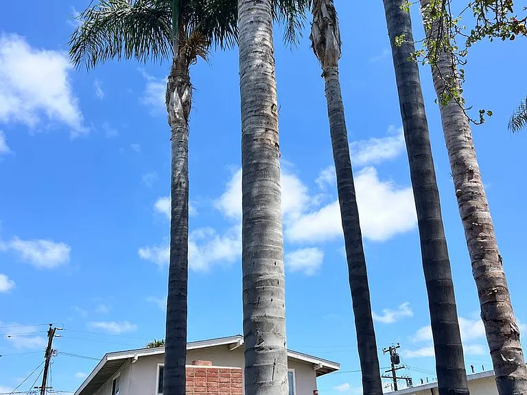 1552 Elm Ave ( F ) — Photo 1